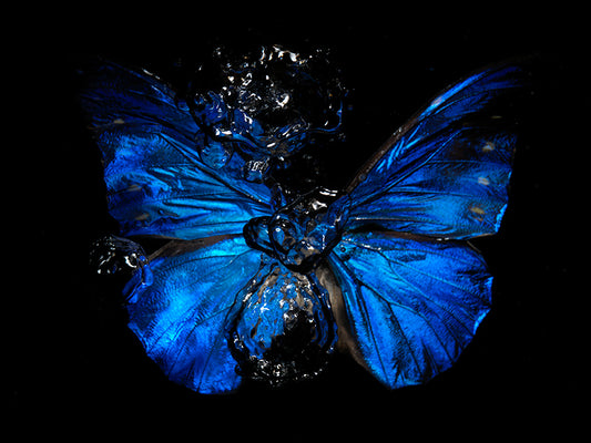 Eternal Ripples: Butterfly Ballet Below the Surface