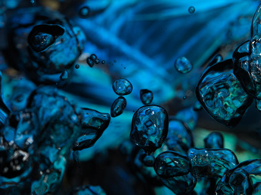Vanitas Refracted: Blue Morpho Butterflies in Liquid Light and Bubbles