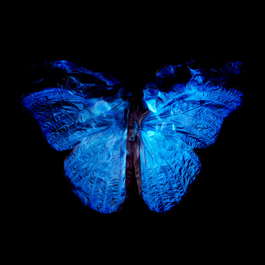 Vanitas Aesthetics: Analog Film Photography of Parent and Offspring Dance