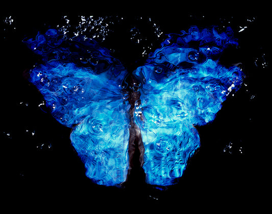 Contemporary Beauty: Analog Film Vanitas in Black Water with Blue Winged Butterfly