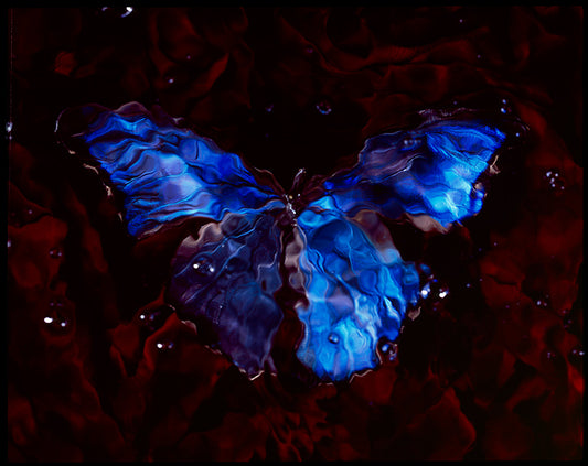 Vanitas Aesthetics: Rare Butterfly in Black Underwater Scene