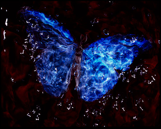 Blue Wings of Hope: Underwater Vanitas Photography with a Conservation Message