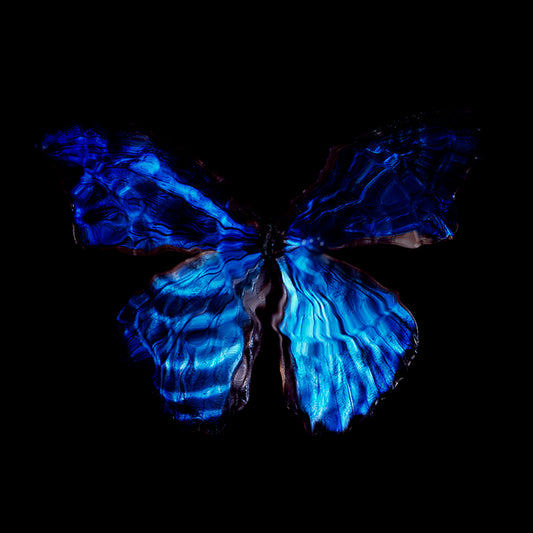 Blue Mirage: Underwater Vanitas Photography with a Message of Environmental Impact