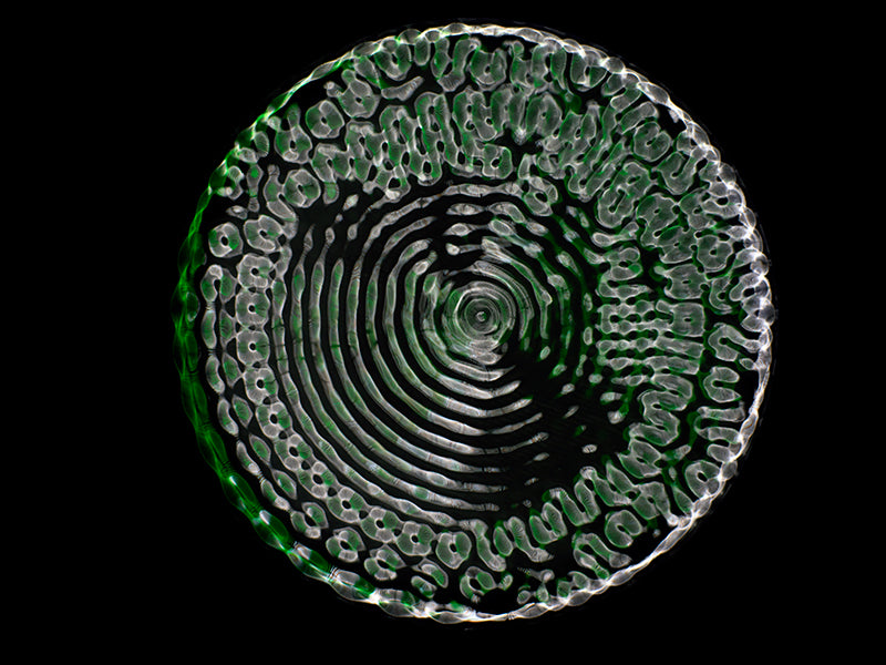 Art meets Science: Gravitational Waves Come to Life in Cymatics Photography