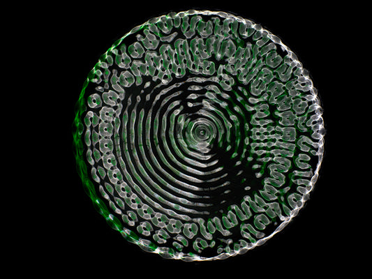 Art meets Science: Gravitational Waves Come to Life in Cymatics Photography