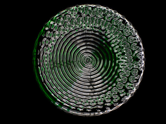 Stunning Waves of Knowledge: Gravitational Waves in Vivid Cymatics Imagery