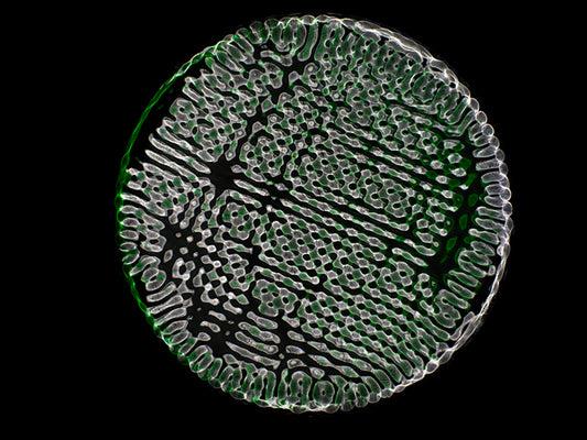 Harmony of the Cosmos: Cymatics Photography Showcases Gravitational Wave Beauty