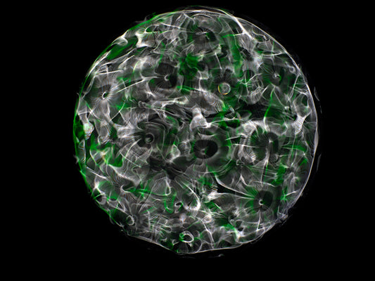 Einstein's Vision: Gravitational Waves Visualized in Colorful Cymatics Art