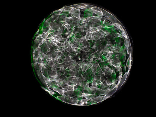 Einstein's Odyssey: Journeying through Gravitational Waves via Cymatics Photography