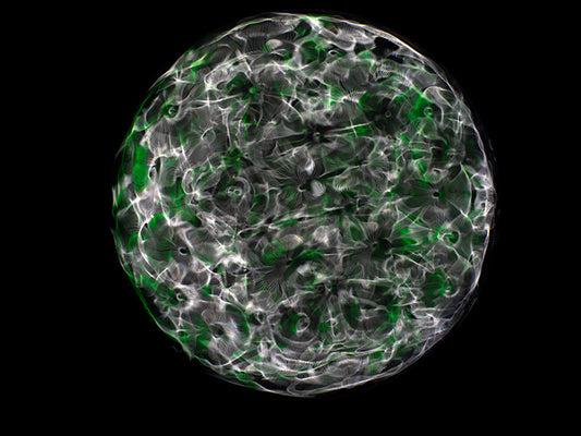 In the Ripple of Time: Cymatics Photography Chronicles Gravitational Wave Wonders
