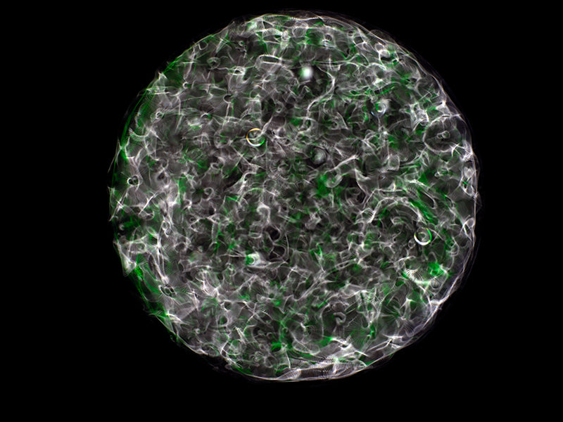 Waveform Euphoria: Cymatics Photography Unveils the Beauty of Gravitational Waves