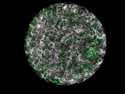 Beyond Imagination: Cymatics Photography Transcends Gravitational Wave Visualization