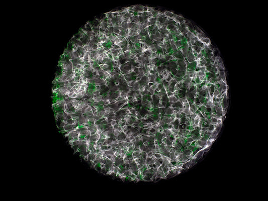 Einstein's Universe: Gravitational Waves Rediscovered in Cymatics Photography