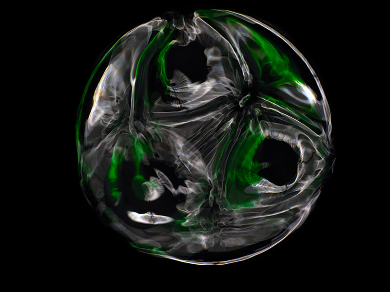 Waves of Gravitational Cymatics Photography Unveils the Beauty and Insights