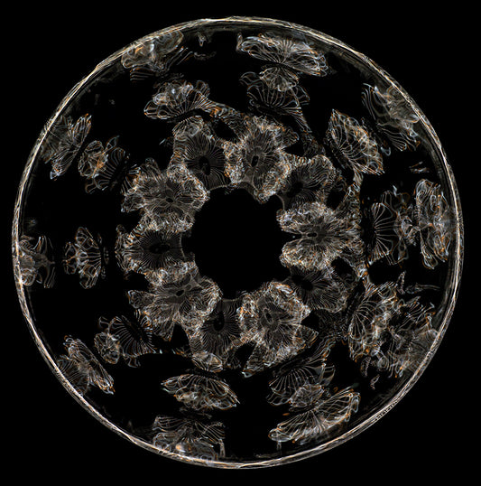 Einstein's Liquid Insight: Cymatics Photography and the Revelation of Gravitational Waves