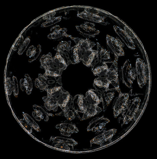 Celestial Harmony: Cymatics Photography Captures the Unity of Gravitational Waves