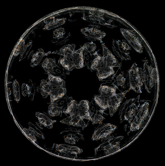 Einstein's Liquid Vortex: Cymatics Photography Delves into Gravitational Wave Tornadoes