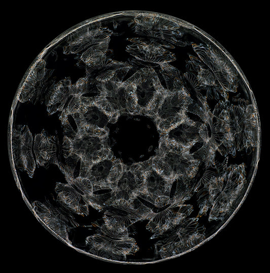 Quantum Resonance: Cymatics Photography Reshapes Perspectives on Gravitational Waves