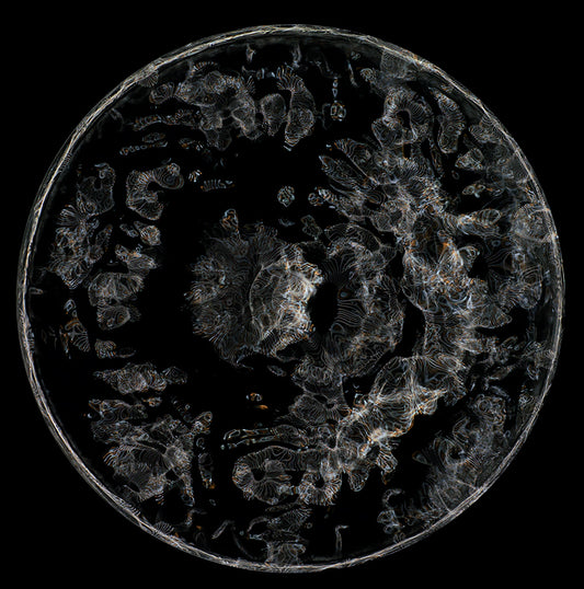 Einstein's Liquid Cosmos: Cymatics Photography Reveals the Fluidity of Gravitational Waves