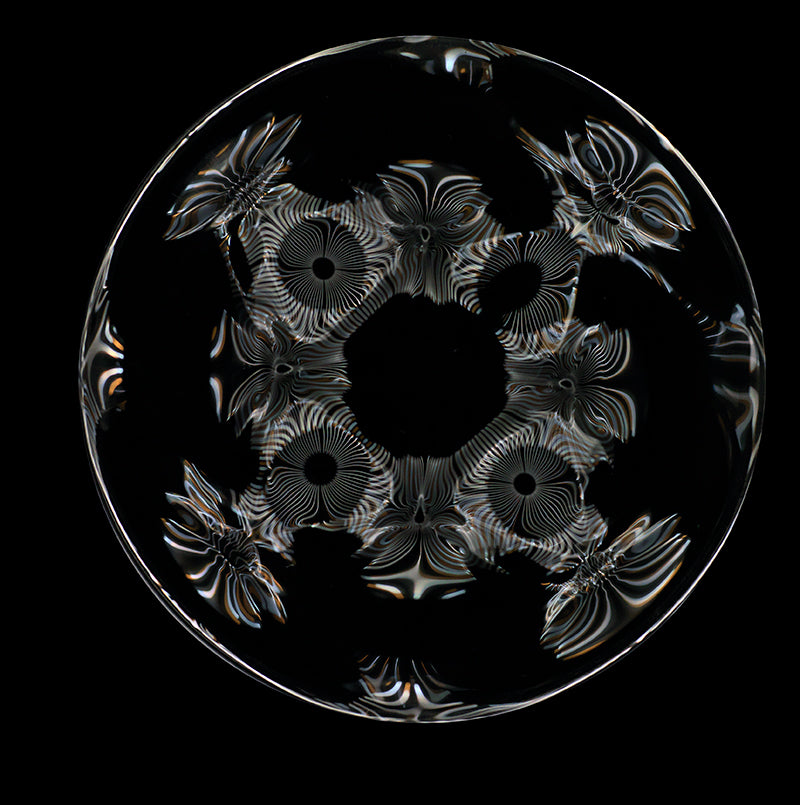 Waveform Elegance Continued: Cymatics Photography Explores Deeper Gravitational Wave Realities