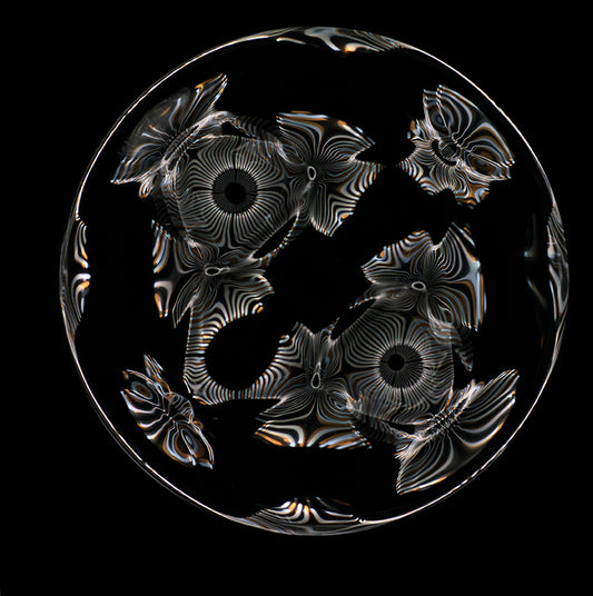Discover Gravitational Wave Art: Exclusive Cymatics Photography Collection