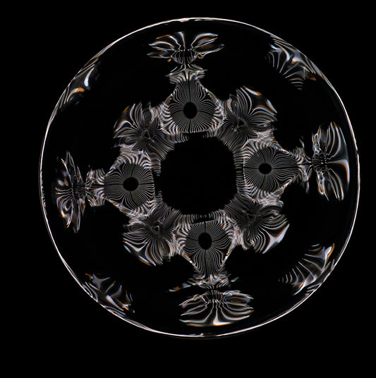 Visualizing Science: Cymatics Photography of Gravitational Wave Phenomena