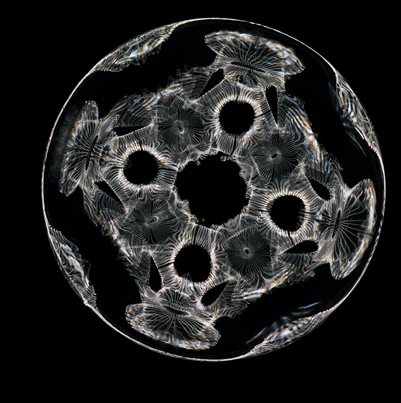 Immerse Yourself: Gravitational Waves in Vibrant Cymatics Photography