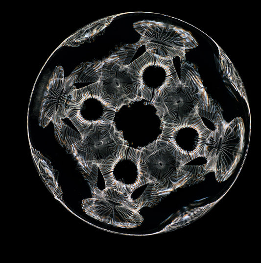 Immerse Yourself: Gravitational Waves in Vibrant Cymatics Photography