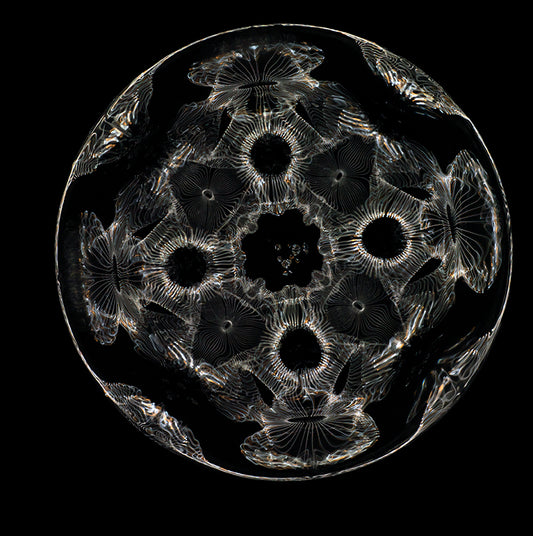 Einstein's Insights: Gravitational Waves Revealed in Cymatics Artistry