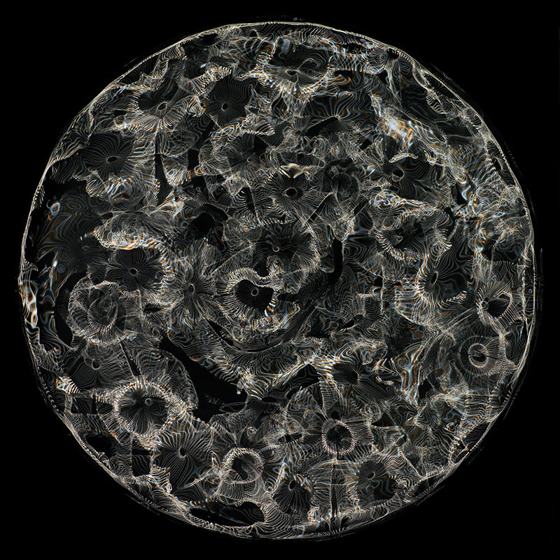 Einstein's Vision in Color: Cymatics Photography of Gravitational Waves