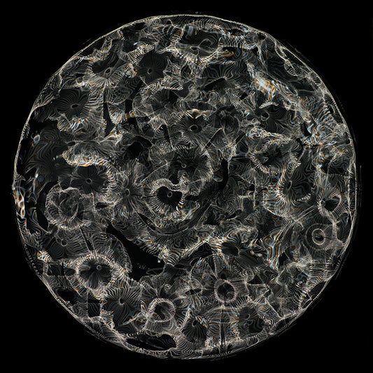 Einstein's Vision in Color: Cymatics Photography of Gravitational Waves