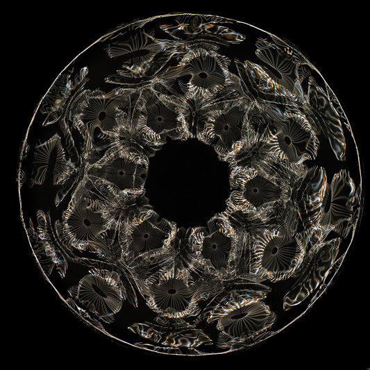 Einstein's Universe Unveiled: Gravitational Waves and Cymatics Photography
