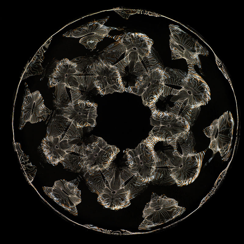 Liquid Dynamics: Cymatics Photography Offers Insights into Gravitational Waves