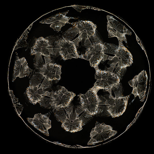 Liquid Dynamics: Cymatics Photography Offers Insights into Gravitational Waves