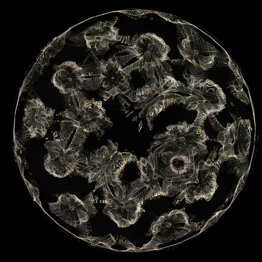 Einstein's Artistic Expression: Cymatics Photography and Gravitational Waves