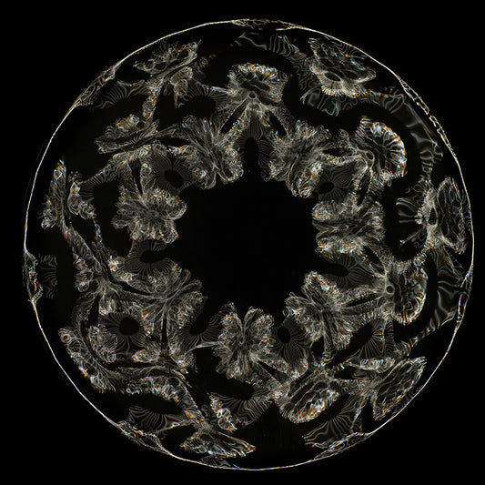 Einstein's Discovery: Gravitational Waves Visualized in Cymatics Photography