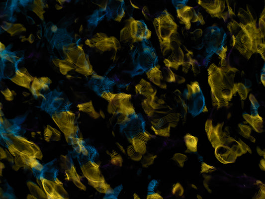 Design Inspiration: Gravitational Waves in Cymatics Photography