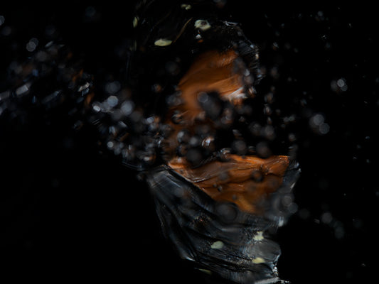 Waterborne Wings: Butterfly Breeding in Liquid Elegance