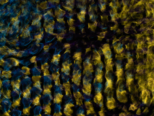 Creative Exploration: Cymatics Photography Reveals Gravitational Waves