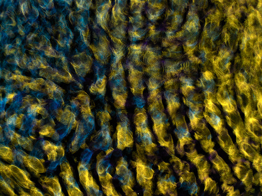 Art meets Science: Gravitational Waves in Stunning Cymatics Imagery