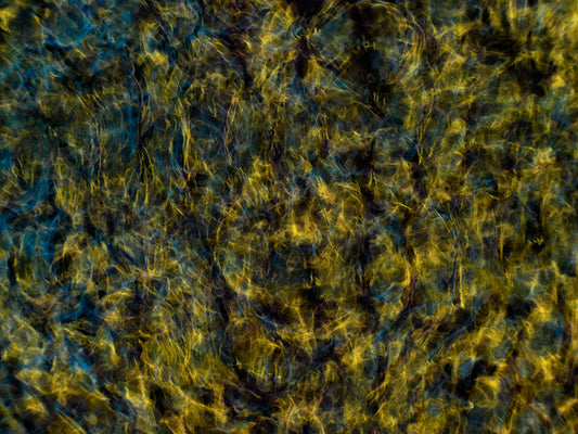 Design Revolution: Gravitational Waves Reimagined in Cymatics Art