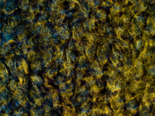 Creative Expression: Cymatics Photography and Gravitational Waves