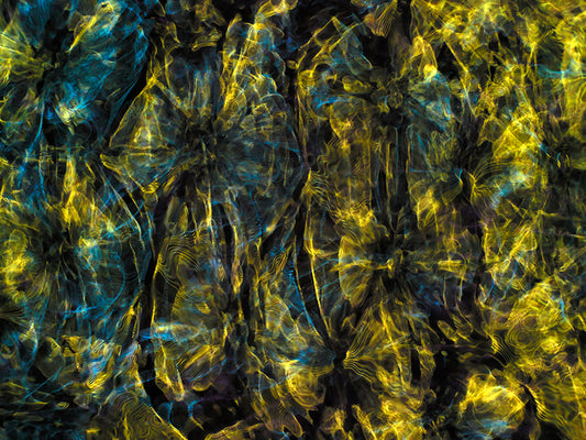 Innovative Design: Cymatics Photography Transforms Gravitational Waves