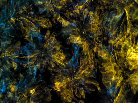 Creative Cosmos Connection: Cymatics Photography and Gravitational Waves