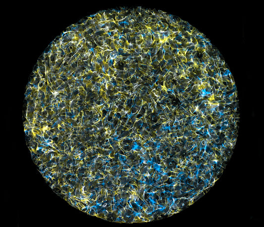 Creative Exploration: Gravitational Waves Revealed in Cymatics Photography