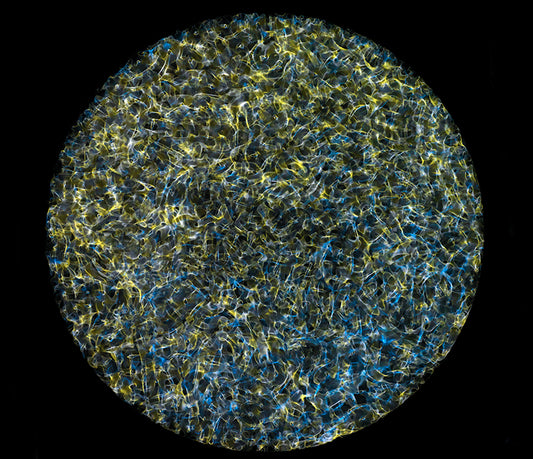 Designers' Dreamland: Gravitational Waves in Cymatics Masterpieces