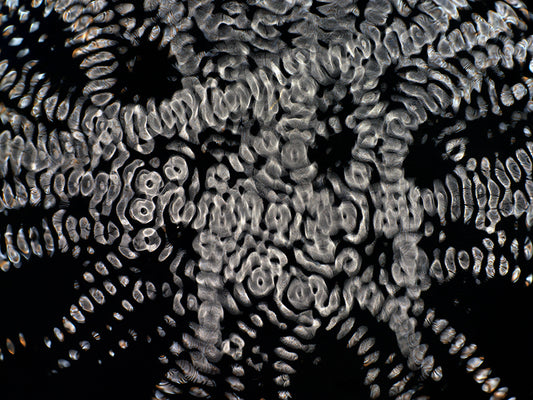 Cinematic Spectacle: Gravitational Waves Transformed in Cymatics Artistry