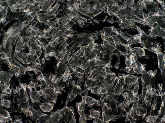 Visual Discovery: Gravitational Waves Revealed through Cymatics Artistry