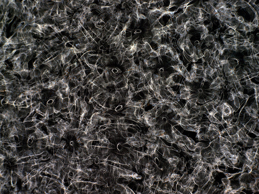 Cinematic Revelation: Gravitational Waves Rediscovered in Cymatics Photography