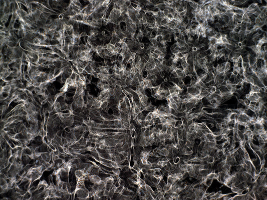 Design Renaissance: Gravitational Waves Visualized with Cymatics Artistry